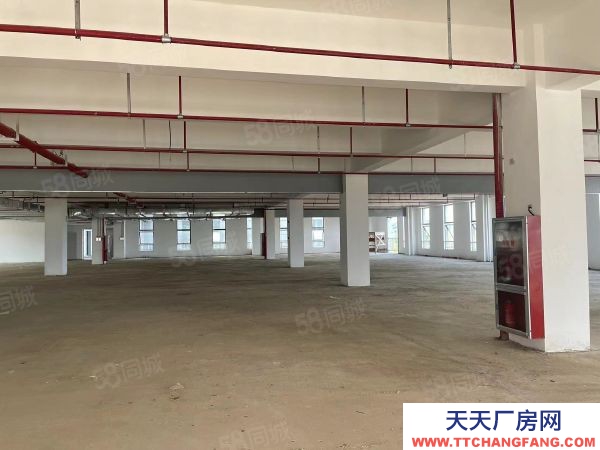 九江市潯陽物資倉庫  帶免租園區倉庫對外直招 無轉讓費 隨時可入駐