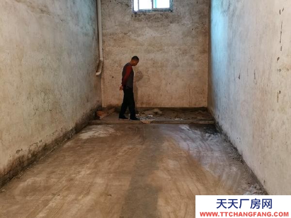 九江市潯陽物資倉庫 天馬建材家具城附近一樓