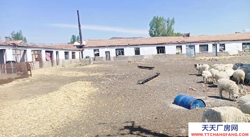 (出售) 烏蘭察布兩畝半大院廠房手續(xù)集寧機(jī)場北3公里大十號村