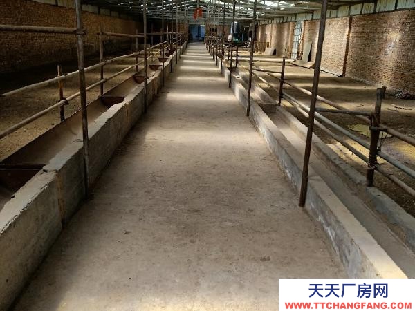 湟中出售自家養殖場條件優越，地址是高店下營鄉，交通便利！