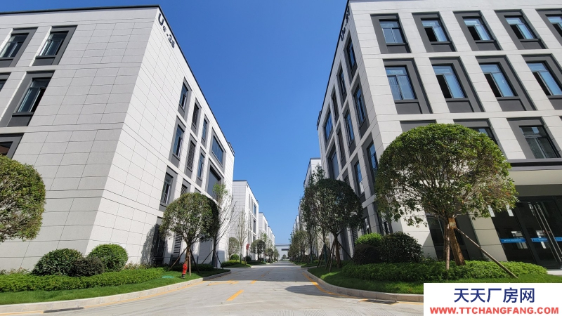 售青白江全新獨棟花園式廠房 50年獨立產(chǎn)權 可按揭