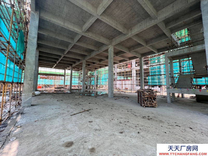 嘉興海鹽獨棟2-3層全新廠房出售