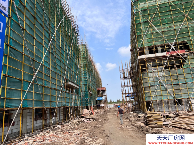 嘉興海鹽獨棟2-3層全新廠房出售