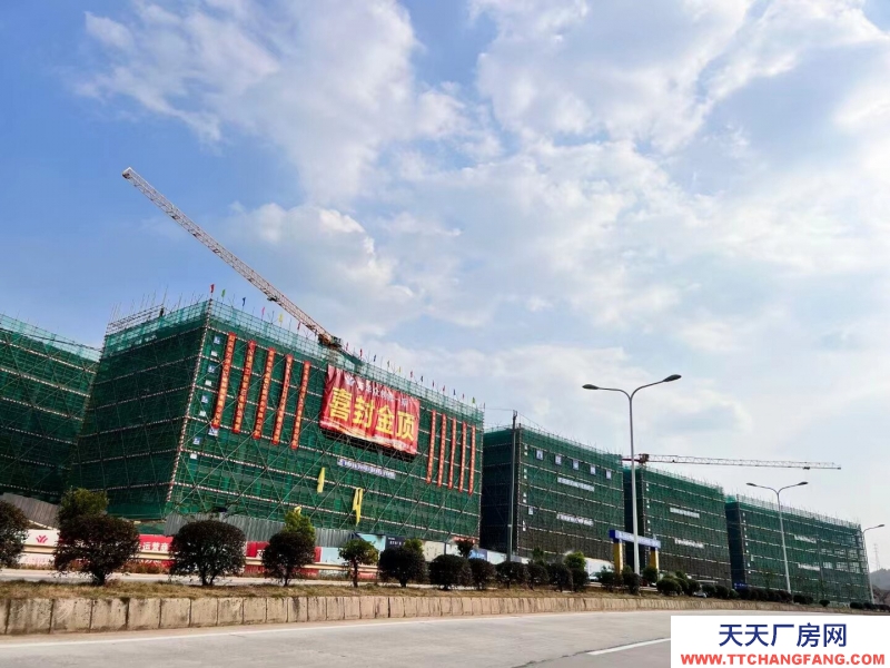 買廠房 找萬洋 量身定制 首付20%