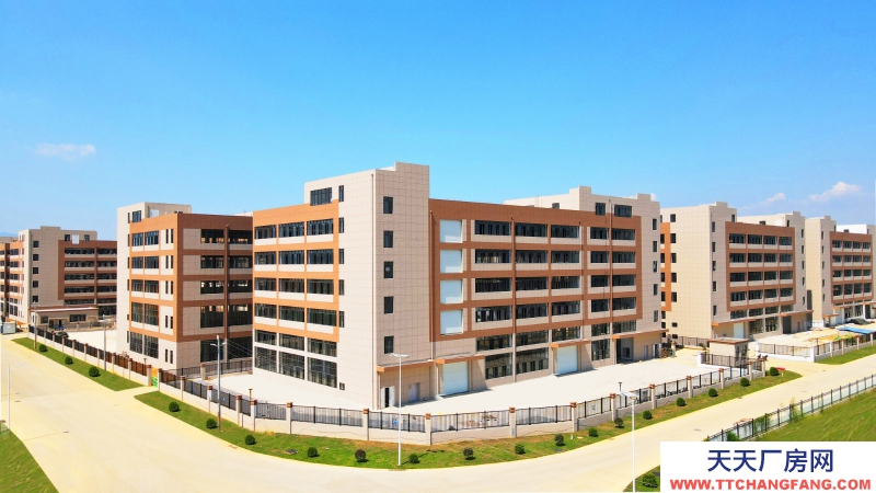 買廠房 找萬洋 量身定制 首付20%