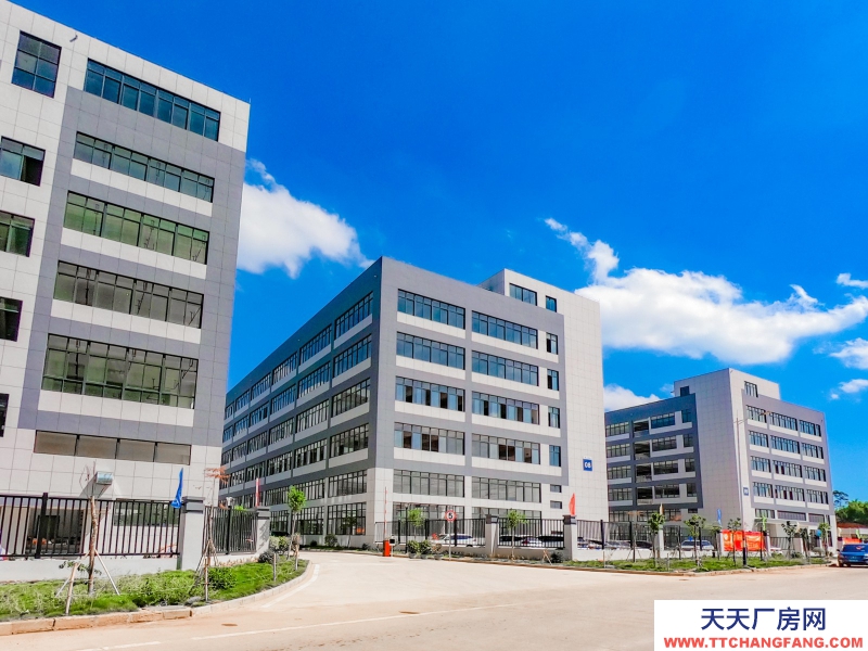 買廠房 找萬洋 量身定制 首付20%