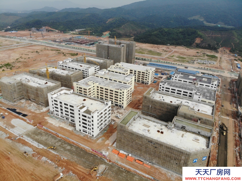 買廠房 找萬洋 量身定制 首付20% 18319897232