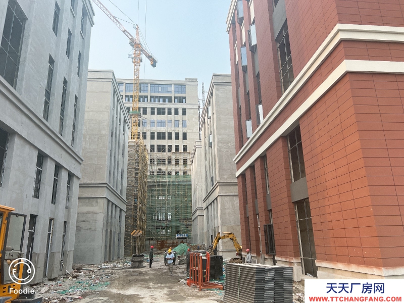 天寧現(xiàn)房廠房，可研發(fā)辦公倉(cāng)儲(chǔ)生產(chǎn)，緊鄰高速高速