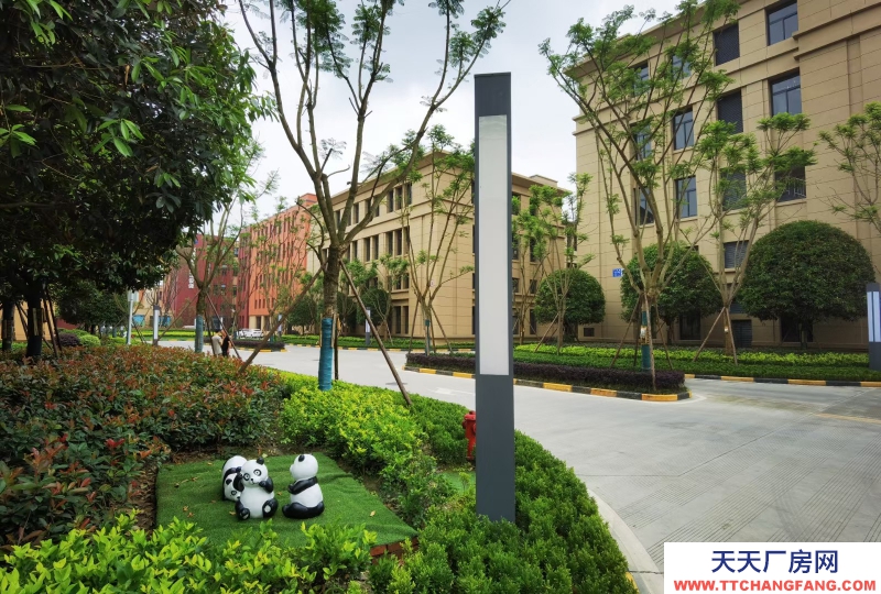 溫江廠房現房出租醫療器械主題性園區