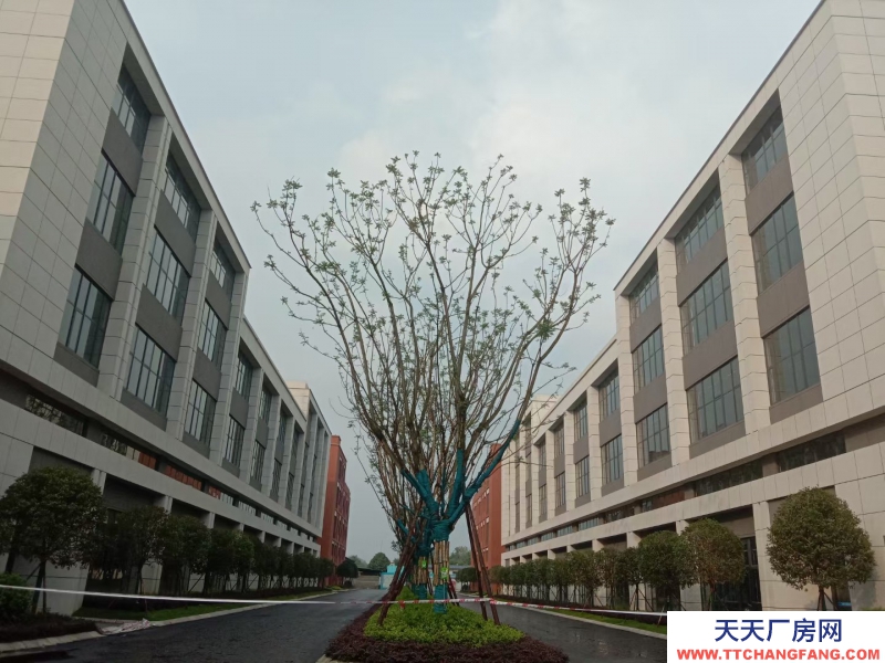 溫江廠房現房出租醫療器械主題性園區