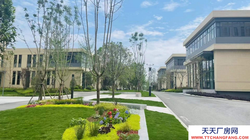 雙流區全新廠房招商可分割產權