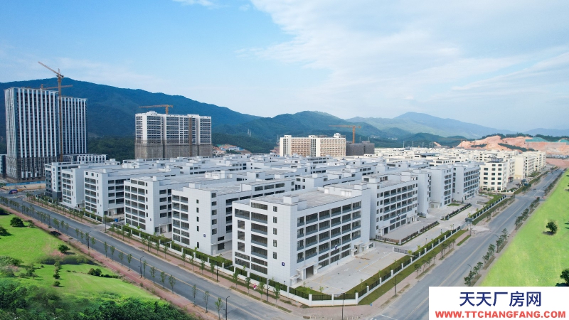 買廠房 找萬洋 量身定制 首付20%