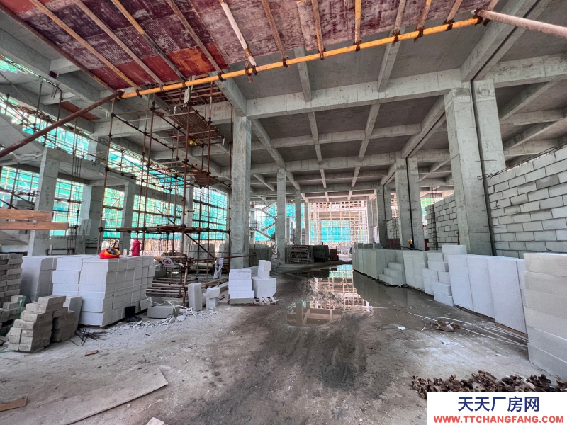 嘉興獨棟廠房出售首付150萬起