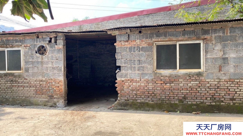 定州 西城(出租) 正房四間 東西兩側(cè)配房可做倉(cāng)庫(kù)