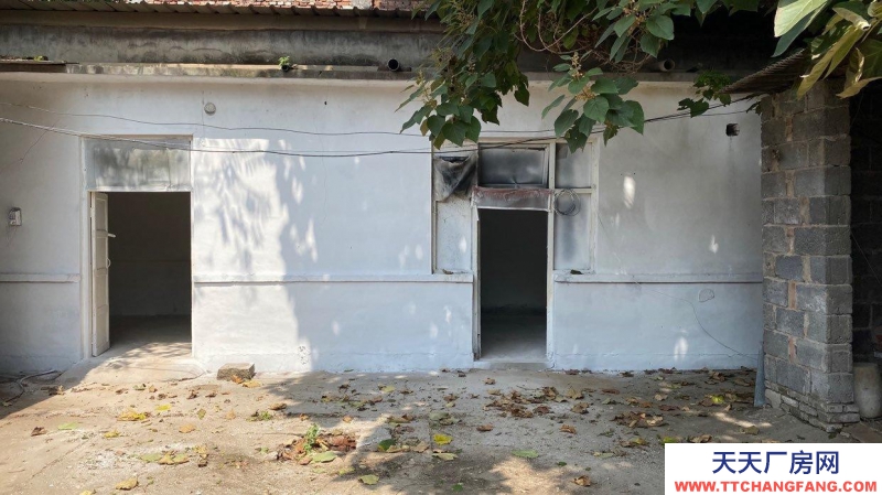 定州 西城(出租) 正房四間 東西兩側配房可做倉庫