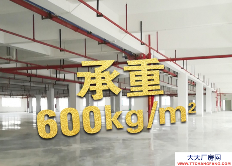 英德市英紅鎮私人定制，獨門獨院，價格實惠