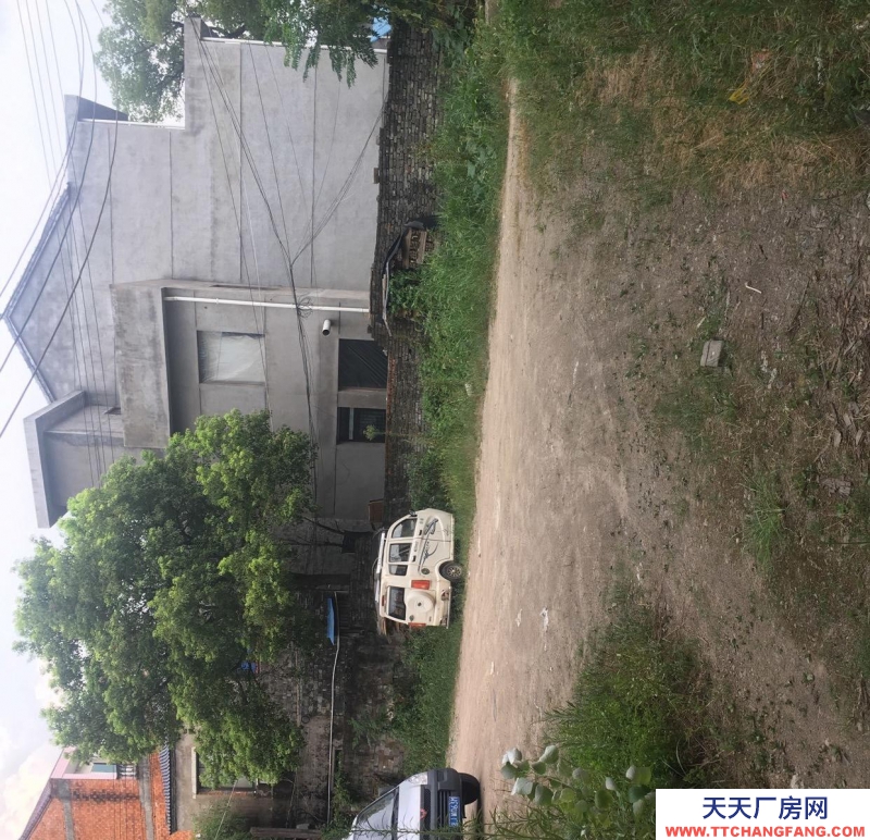 臺州市天臺(出租) 房租便宜581005