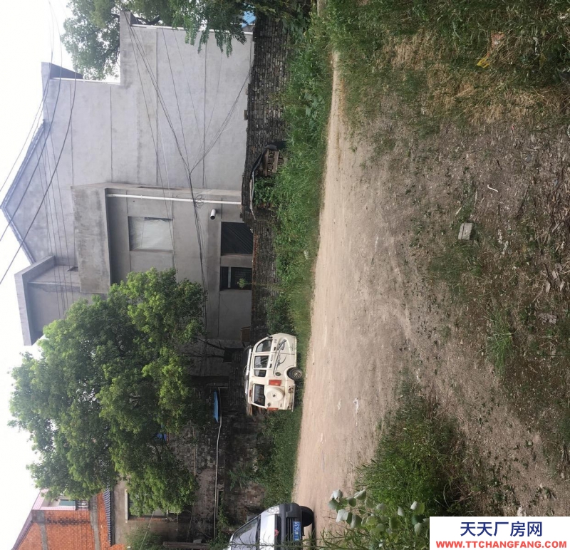 臺州市天臺(出租) 房租便宜581005