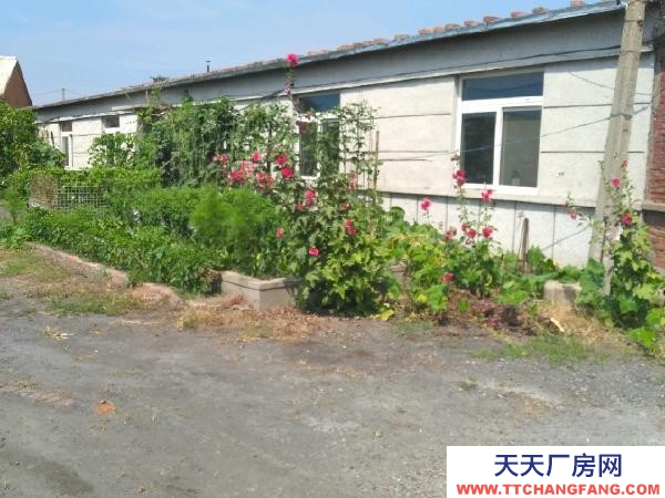 遼中高速近，福利企業，帶100延米門市