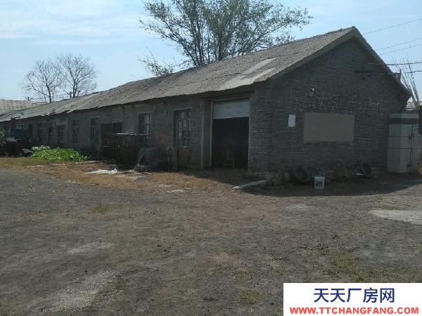 遼中實際面積4560平米，帶100延米門市，位于鎮中心