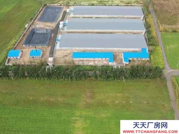 遼中年建養豬場，設施齊全，豬舍面積5500平，占地20畝