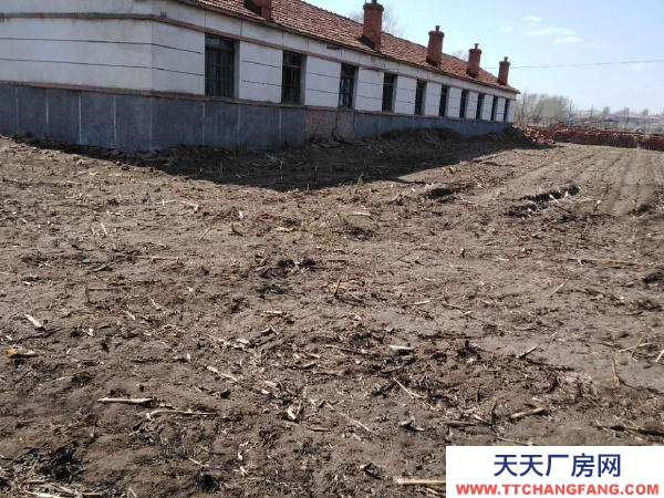 康平縣康平城區(qū) 可做養(yǎng)殖場 出租出售 價格可以 急售