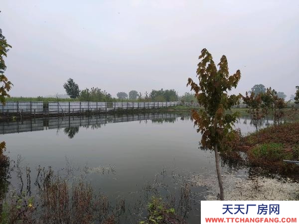 康平肉羊養(yǎng)殖場，占地13000平，建筑4000平，農(nóng)用設施用地