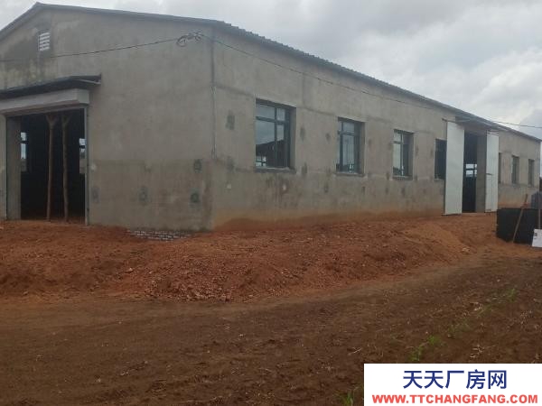 法庫獨門獨院今年新建筑的占地面積1500平左右，廠房400平。