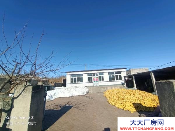 法庫正房是平房110平 場地1萬平左右 適合養殖