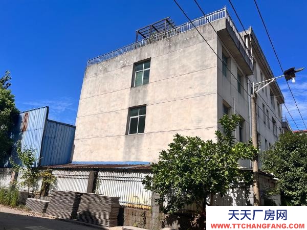 宜春市樟樹(shù)糕點(diǎn)廠(chǎng)房 2000平，紅本，土地證房產(chǎn)證