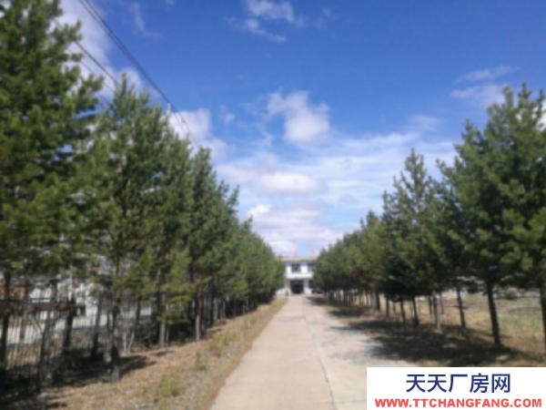 西崗 出租出售根河市滿歸鎮(zhèn)華茂大院