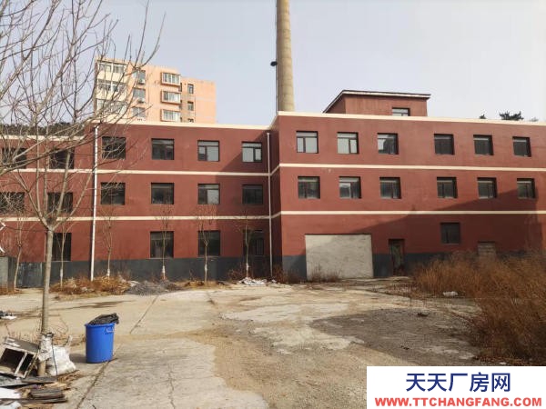 西崗八一路林茂街25號的地上地下帶院獨樓