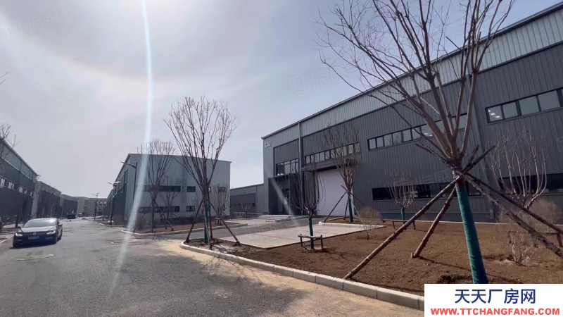 金州獨棟1200平輕鋼全新廠房，急售！可貸款