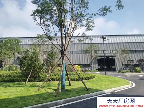 金州開發區全新廠房！賣！能貸款！