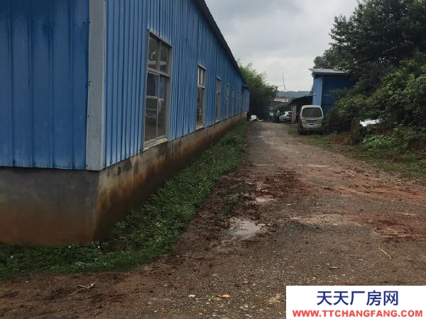 宜春市高安醬腌菜廠房  個人低價出租高安市大城鎮(zhèn)320國道旁1500平廠房，有三相電