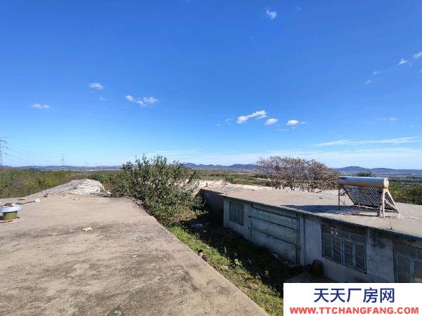 瓦房店養殖場出租(附帶外部十幾畝地可以圈養)