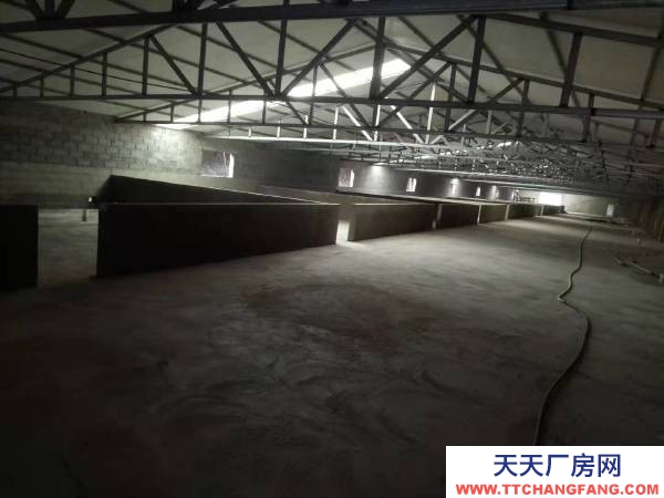 普蘭店新建養豬場招租 可以養育肥豬，也可以養后背母豬，