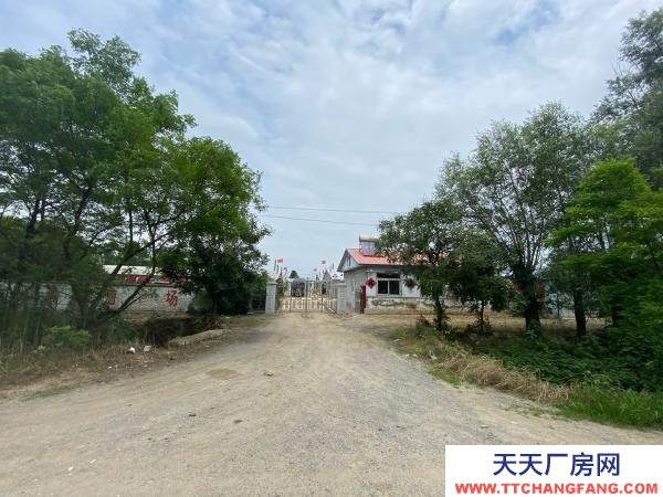 普蘭店雞房出售，價格可談，設備齊全