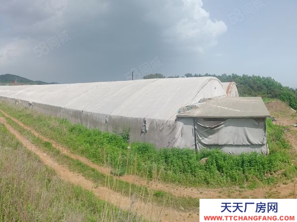 莊河石城島附近海參育苗廠房對外出售