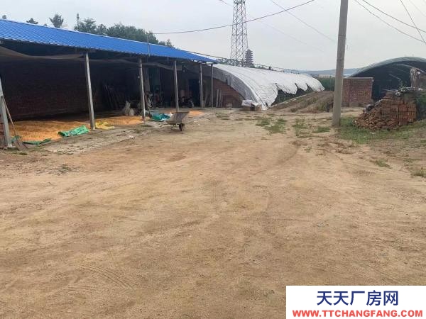 新撫出租養殖場地。設備齊全