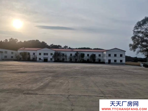 東洲東洲商場(綏化路)出租