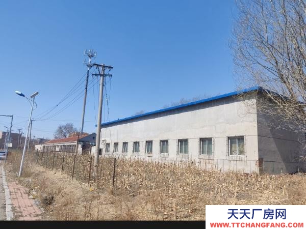 東洲低價急租東洲茨溝廠房