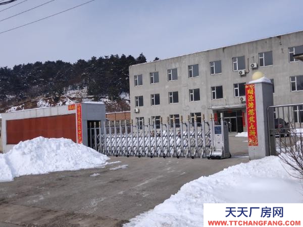 東洲蘭山工業土地及廠房出售