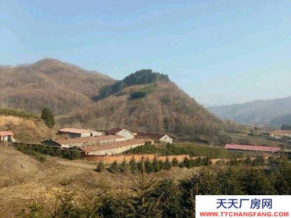新賓木奇鎮北溝村養豬場低價出租