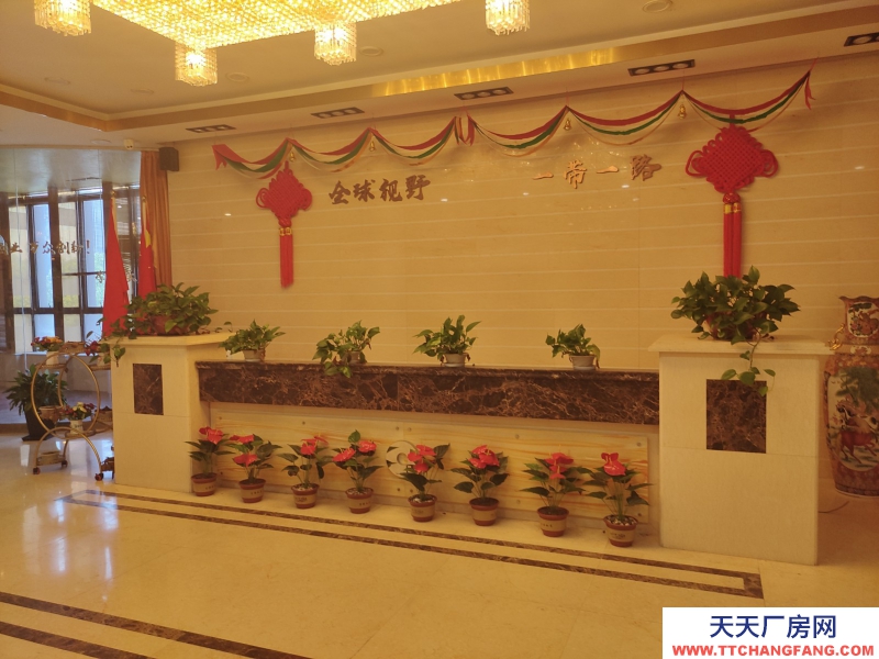 南翔直達地鐵11號線 大開間 多面積選擇 可隨時聯系看房