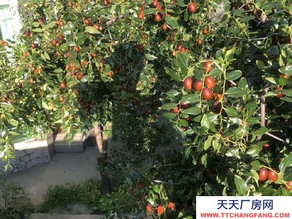 站前低價出租辦公室 倉庫