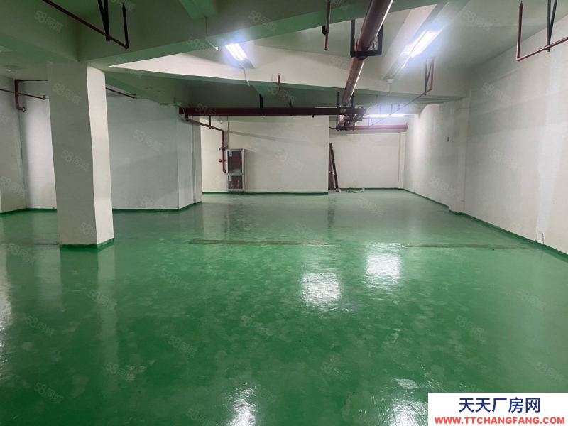 (出售) 單價1000多70年產(chǎn)權倉儲間 面積可選 公攤小利用空間大