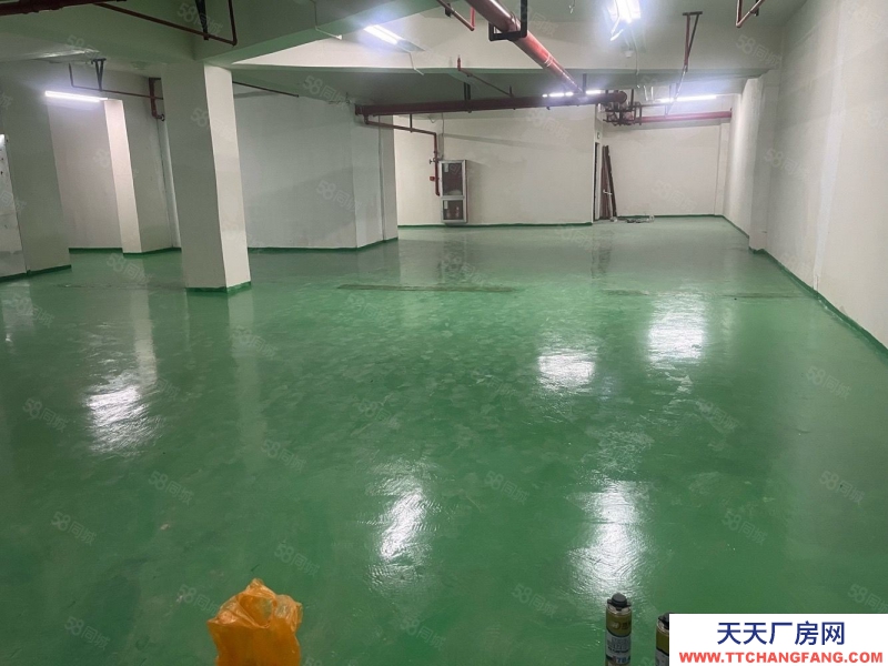 (出售) 單價1000多70年產權倉儲間 面積可選 公攤小利用空間大