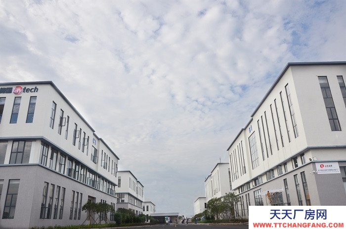 標準廠房I可分租I項目可免租