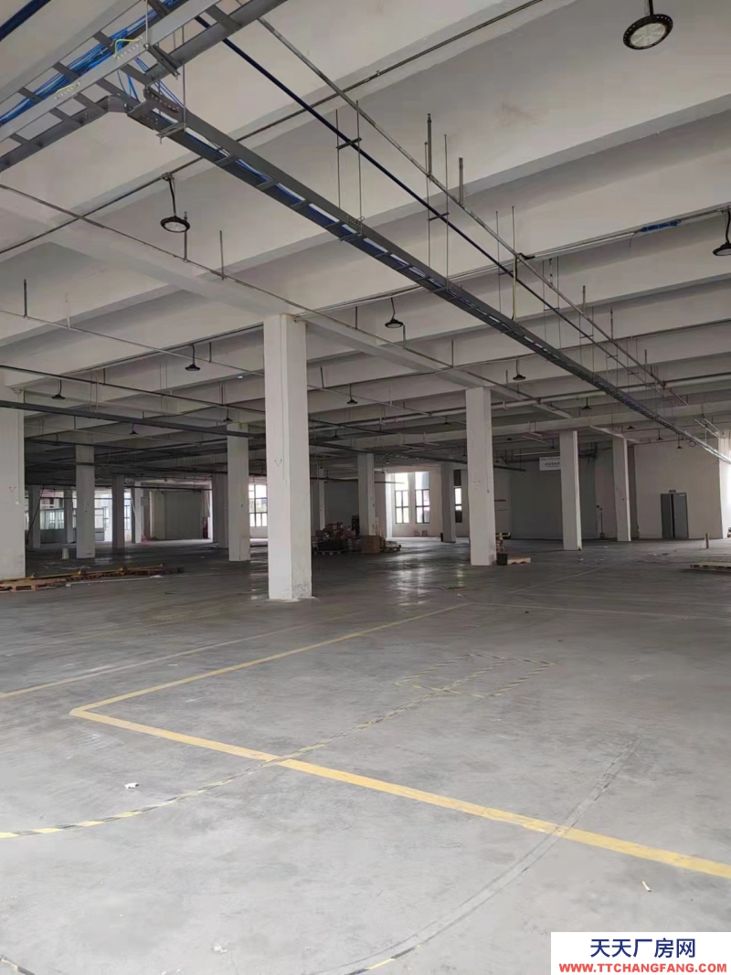 標準廠房I可分租I項目可免租